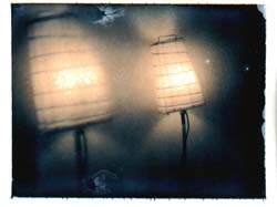 POLAROIDPRINT RHOON